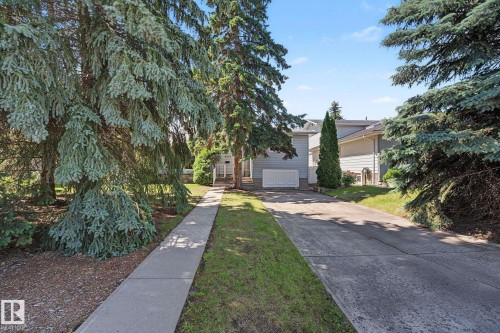 Front exterior featuring mature evergreen trees and a paved driveway - 9516 146 Street, Edmonton, AB 