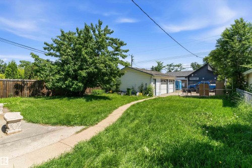 Expansive backyard featuring a large mature tree, concrete pathway, and a three-car detached garage with white overhead doors - 11619 123 Street, Edmonton, AB 