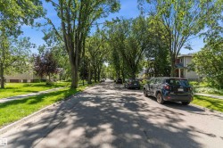 Tree-lined street with mature foliage and residential architecture - 