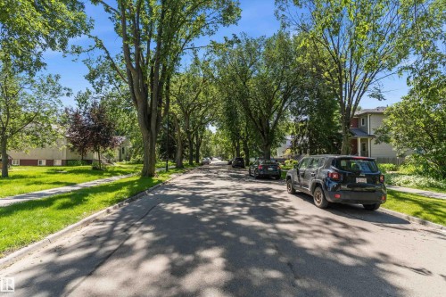 Tree-lined street with mature foliage and residential architecture - 11619 123 Street, Edmonton, AB 