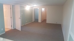 Spacious room featuring neutral carpeting and light-toned walls, including an accent wall with a subtle green hue - 