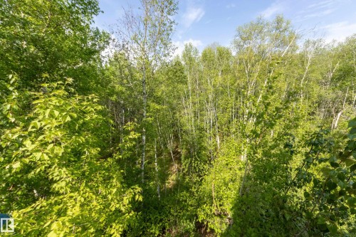 3-54227 Rge Road 275, Rural Sturgeon County, AB - Outdoor