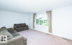 Bright room featuring light-toned carpeting and white walls - 