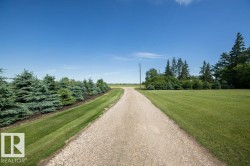 Gravel driveway bordered by manicured lawn and mature evergreen trees - 