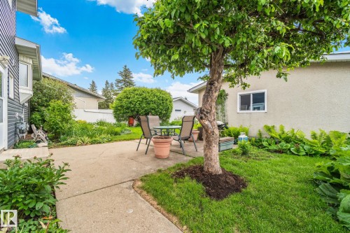 Spacious backyard featuring a concrete patio, mature tree, established greenery, and a grass area - 10715 33 Avenue, Edmonton, AB 