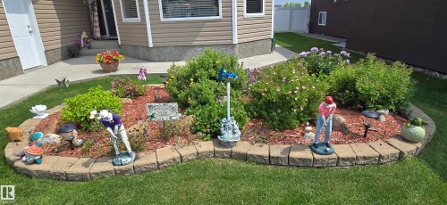 Landscaped garden bed featuring a curved paver stone border, established shrubs, and groundcover - 4221 46 Street, Vegreville, AB 