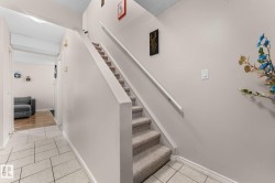 Staircase with carpeted treads and white handrail - 