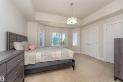 Bedroom featuring light neutral carpeting, a tray ceiling, and a contemporary pendant light fixture - 