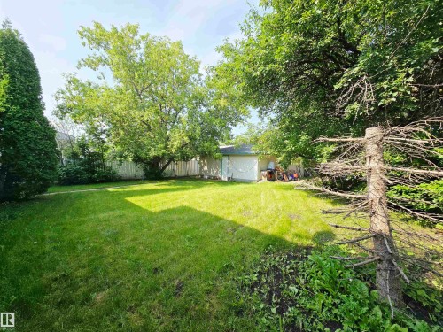 Expansive grassy yard featuring a detached auxiliary structure, mature trees, and perimeter fencing - 5012 143 Street, Edmonton, AB 