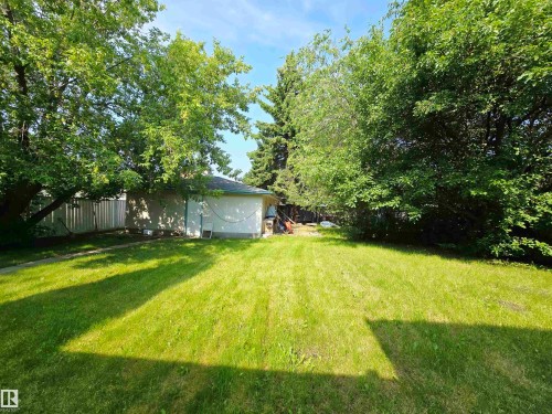 Spacious rear yard featuring extensive lawn, mature trees, and a detached building with an asphalt shingle roof - 5012 143 Street, Edmonton, AB 