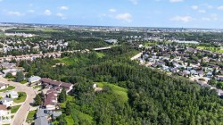 Expansive green space and mature trees bordering residential areas - 