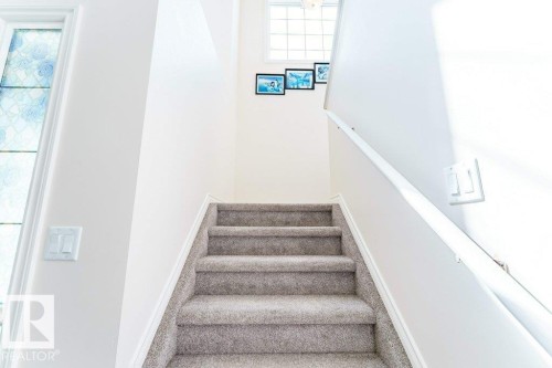 Carpeted staircase with white walls and a white handrail - 3525 22 Street, Edmonton, AB - Indoor Photo Showing Other Room