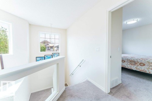 Carpeted staircase with white balustrade and handrail, featuring multiple windows providing natural light, and a white flush-mount ceiling light fixture in the adjacent room - 3525 22 Street, Edmonton, AB - Indoor Photo Showing Other Room
