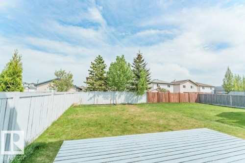 Spacious backyard featuring a white painted wooden fence, diverse mature trees, and a wooden deck area - 3525 22 Street, Edmonton, AB - Outdoor With Backyard