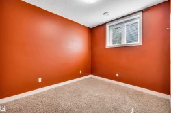Room featuring textured orange walls, plush neutral carpet, white baseboards, and a single window with white trim - 