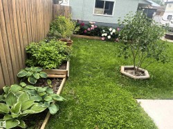 Private backyard featuring a wooden privacy fence, mature landscaping, and a manicured lawn - 