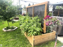 Yard - 
