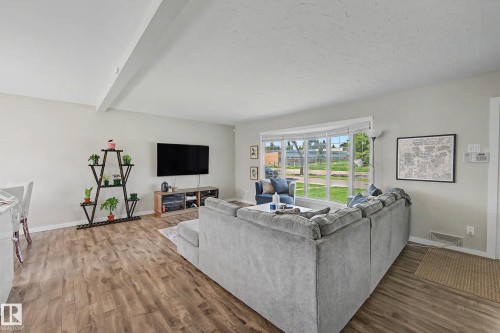 5407 106 Avenue Nw, Edmonton, AB - Indoor Photo Showing Living Room