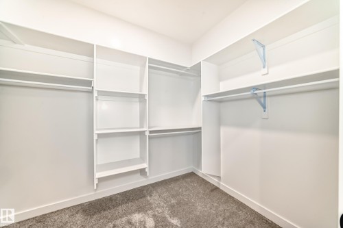 Walk-in closet featuring white built-in shelving, multiple hanging rods, and gray textured carpeting - 14 Tenuto Link, Spruce Grove, AB - Indoor With Storage
