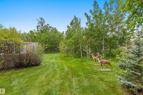 4901 48 Avenue, Busby, AB 