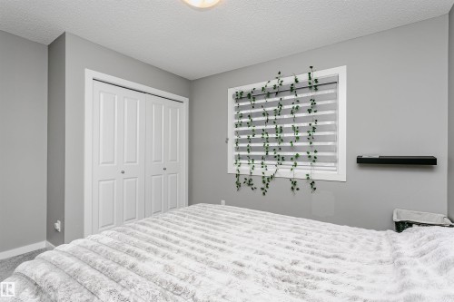 Room featuring neutral gray walls and white trim - 7322 Chivers Crescent, Edmonton, AB 