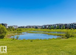 Manicured green spaces surrounding a tranquil pond, bordered by contemporary residential structures - 