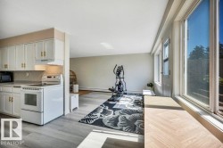 Open-concept living area featuring light wood-finish flooring, a kitchen with white cabinetry and gold-tone hardware, a white electric range, and large windows with a herringbone-patterned windowsill - 