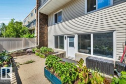 Patio terrace - 