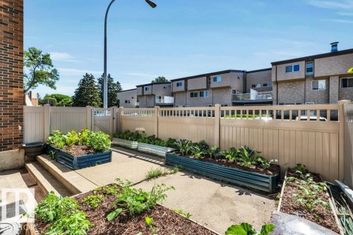 Private patio space featuring multiple raised garden beds, concrete patio, and a light-colored fence with an access gate - 102 7805 159 Street, Edmonton, AB 