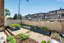 Private patio space featuring multiple raised garden beds, concrete patio, and a light-colored fence with an access gate - 