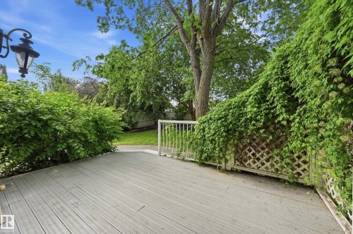 5 Emerson Place, St. Albert, AB - Outdoor