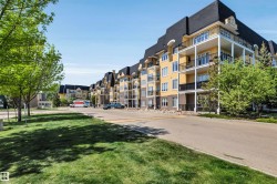 326 9820 165 Street  Edmonton, AB T5P 0N3
