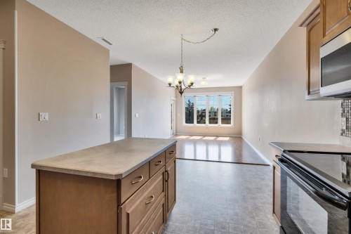 326 9820 165 Street, Edmonton, AB - Indoor Photo Showing Kitchen