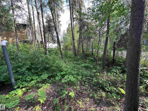 4307 Spruce Point(E), Rural Lac Ste. Anne County, AB - Outdoor