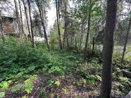 4307 Spruce Point(E), Rural Lac Ste. Anne County, AB 