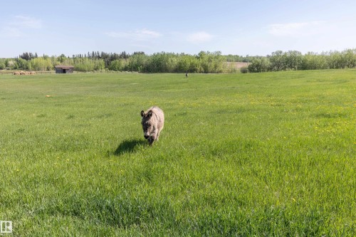 90 22111 Twp Rd 510, Rural Leduc County, AB - Outdoor With View