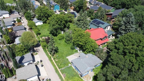 Expansive lot featuring mature trees and established greenery - 9906 87 Street, Edmonton, AB 