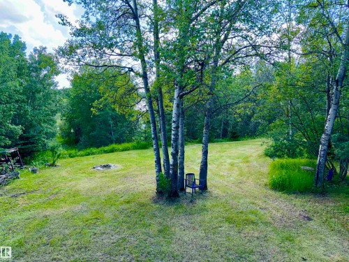 Expansive outdoor space featuring a large grassy area, mature trees, and dense natural foliage - 208 60118 Secondary Highway 867, Rural St. Paul County, AB - Outdoor