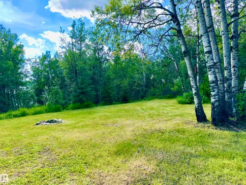 Yard - 208 60118 Secondary Highway 867, Rural St. Paul County, AB - Outdoor