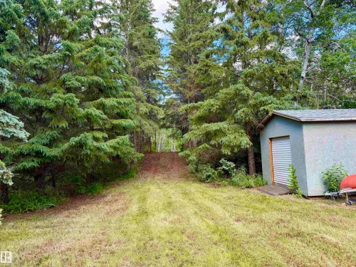 Expansive natural lot featuring mature evergreen trees and a functional outbuilding - 208 60118 Secondary Highway 867, Rural St. Paul County, AB - Outdoor