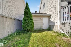 Side yard with a privacy fence, evergreen tree, and building access door - 