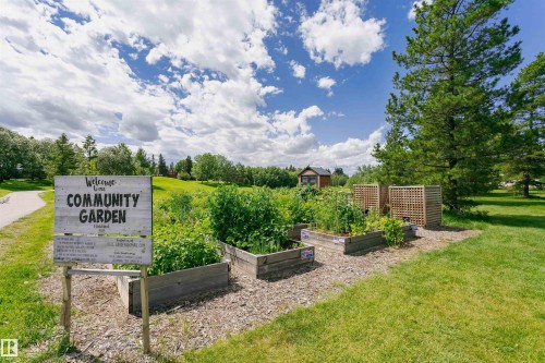 Community garden featuring multiple raised planter beds with established plantings, decorative wood lattice screens, and a central "Welcome to our COMMUNITY GARDEN" sign - 204 11440 40 Ave, Edmonton, AB 