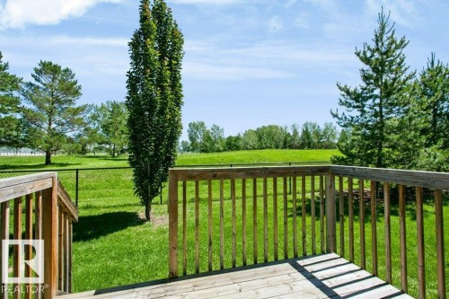 Expansive outdoor deck featuring natural wood decking and railings, overlooking a green lawn with mature trees and a chain-link fence - 27 4205 30 Street, Edmonton, AB 