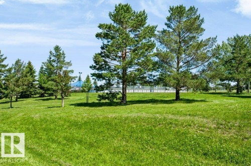 Expansive green space featuring mature evergreen trees and a distant fence line - 27 4205 30 Street, Edmonton, AB 