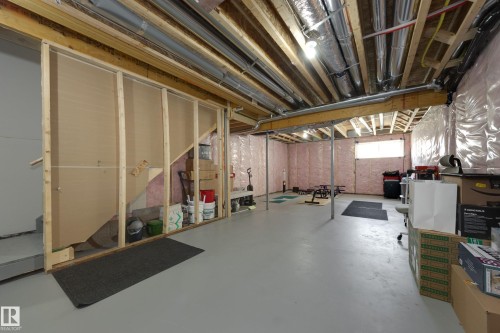 2804 193 Street Nw, Edmonton, AB - Indoor Photo Showing Basement