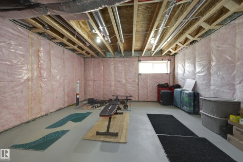 2804 193 Street Nw, Edmonton, AB - Indoor Photo Showing Basement