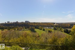Expansive natural landscape featuring lush green spaces, mature trees, a distant river, and a city skyline on the horizon - 