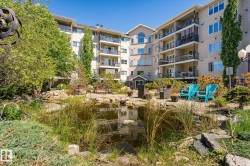 Landscaped courtyard featuring a tranquil pond with natural plantings, rock formations, and mature trees - 