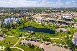 Expansive parkland with a central pond surrounded by mature trees and manicured lawns - 