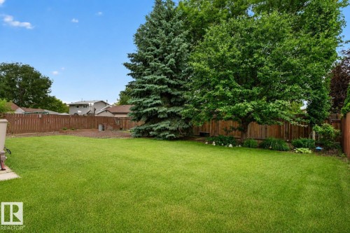Expansive grassy lawn with mature trees and a wood privacy fence - 31 Alpine Boulevard, St. Albert, AB 